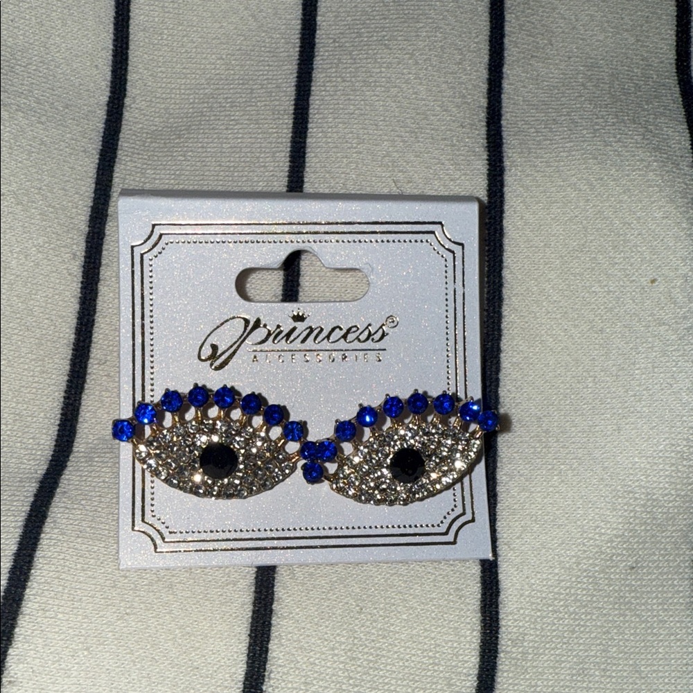 Prince Blue and Silver Eye-Catching Earrings